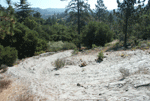 Motorcycle trails in the Sandhills